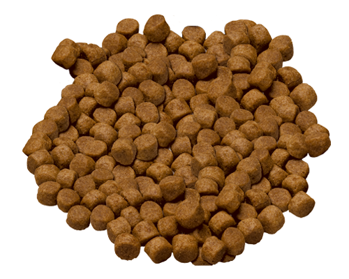 Science diet outlet mobility dog food