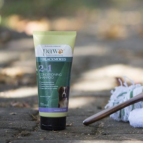 Paw 2 in 1 best sale conditioning shampoo